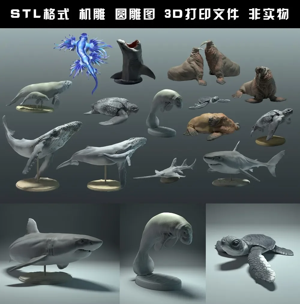 animals, polar bear, takin, wo - 3D Printing Rabbit recensione e prezzo