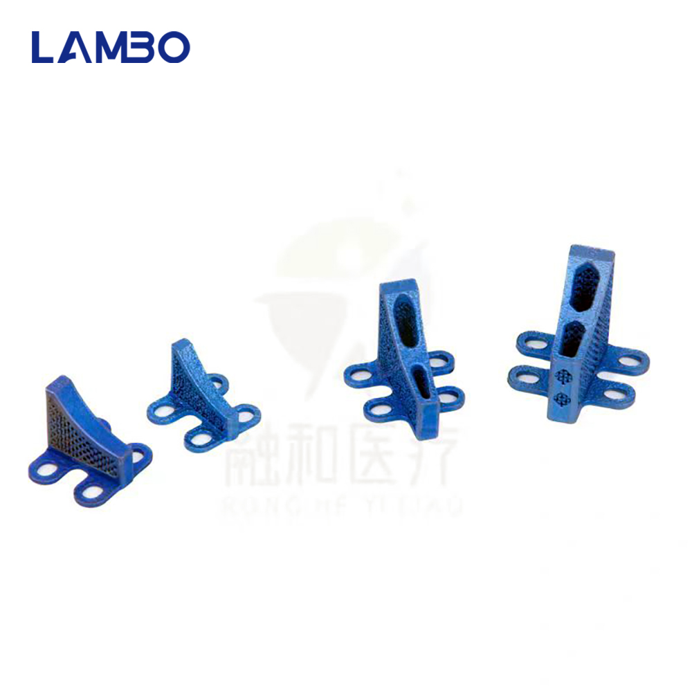 3D Printing TTA System Cage Bo - 3D Printing Orthopedics recensione e prezzo