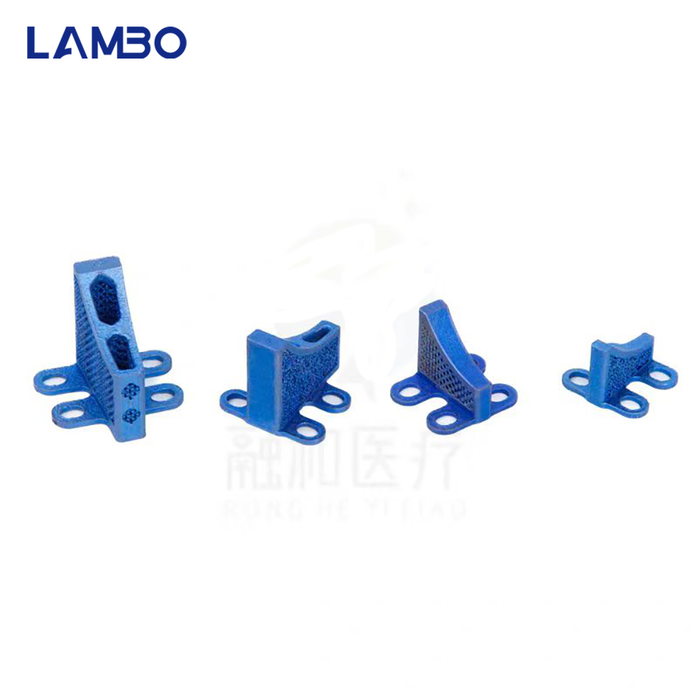 3D Printing TTA System Cage Bo - 3D Printing Orthopedics recensione e prezzo