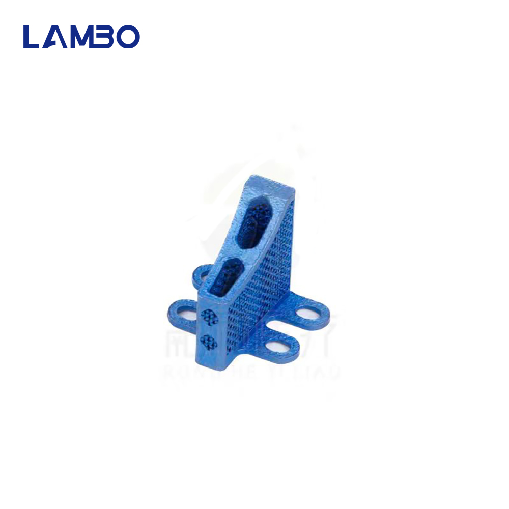 3D Printing TTA System Cage Bo - 3D Printing Orthopedics recensione e prezzo