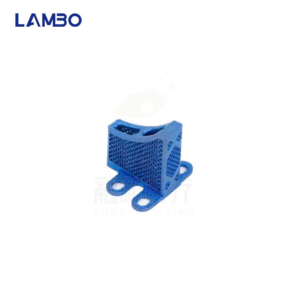 3D Printing TTA System Cage Bo - 3D Printing Orthopedics recensione e prezzo